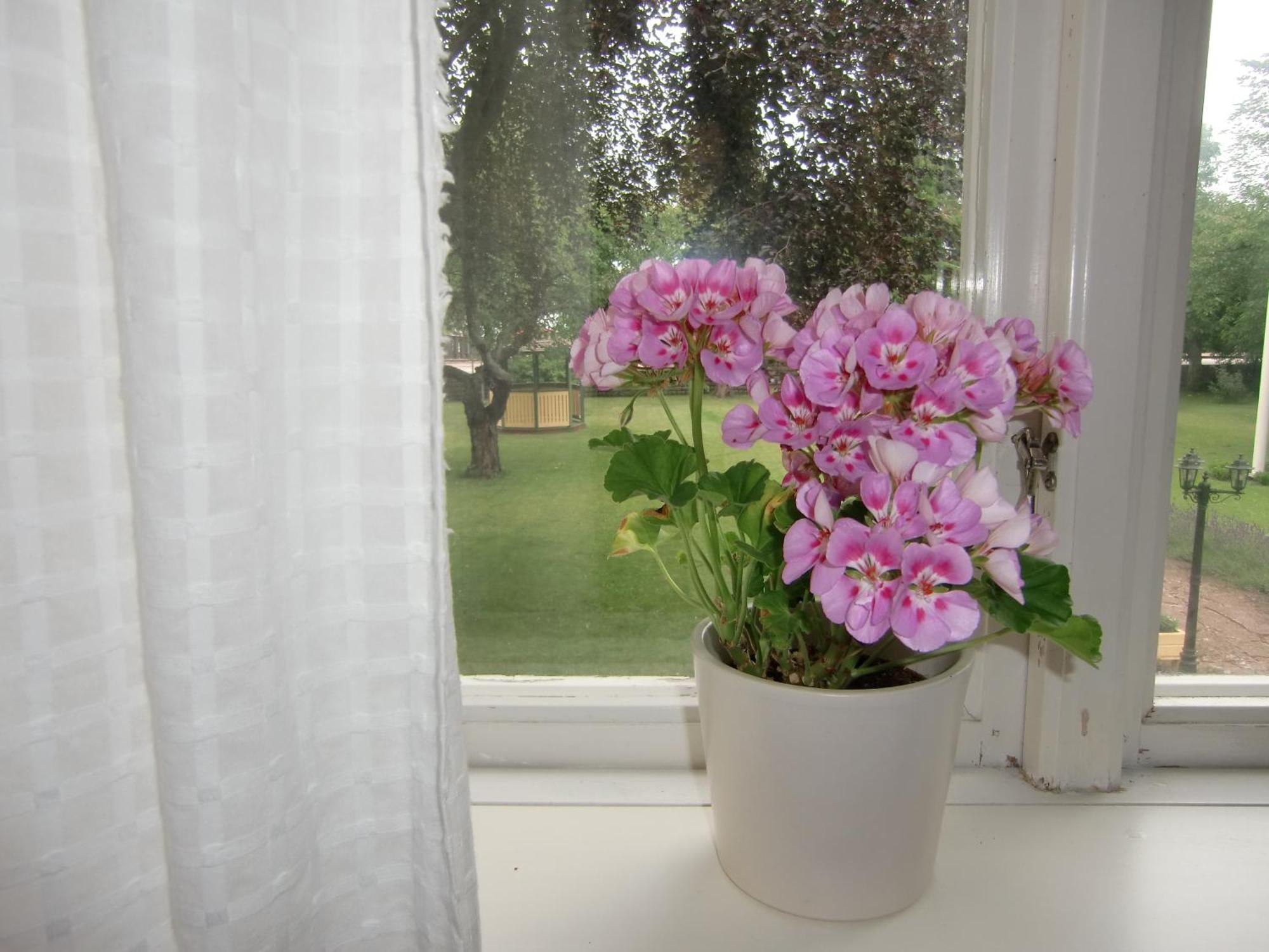 Hagaborg Bed & Breakfast Köpingsvik Dış mekan fotoğraf