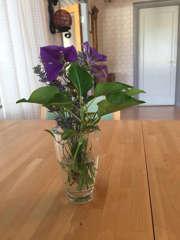 Hagaborg Bed & Breakfast Köpingsvik Dış mekan fotoğraf